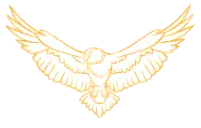 Totem Air